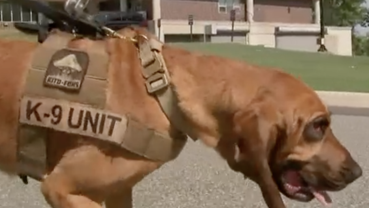 Screen Shot 2022-08-05 at 11.36.18 AM.png