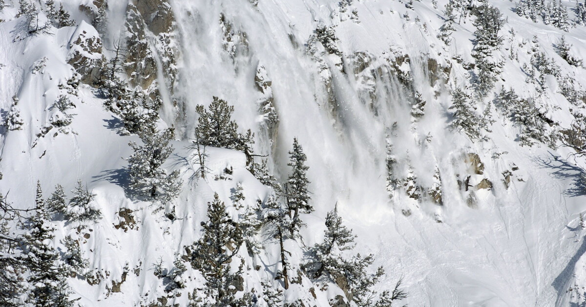 Montana State to host its 9th annual Snow and Avalanche Workshop - Vimarsana News
