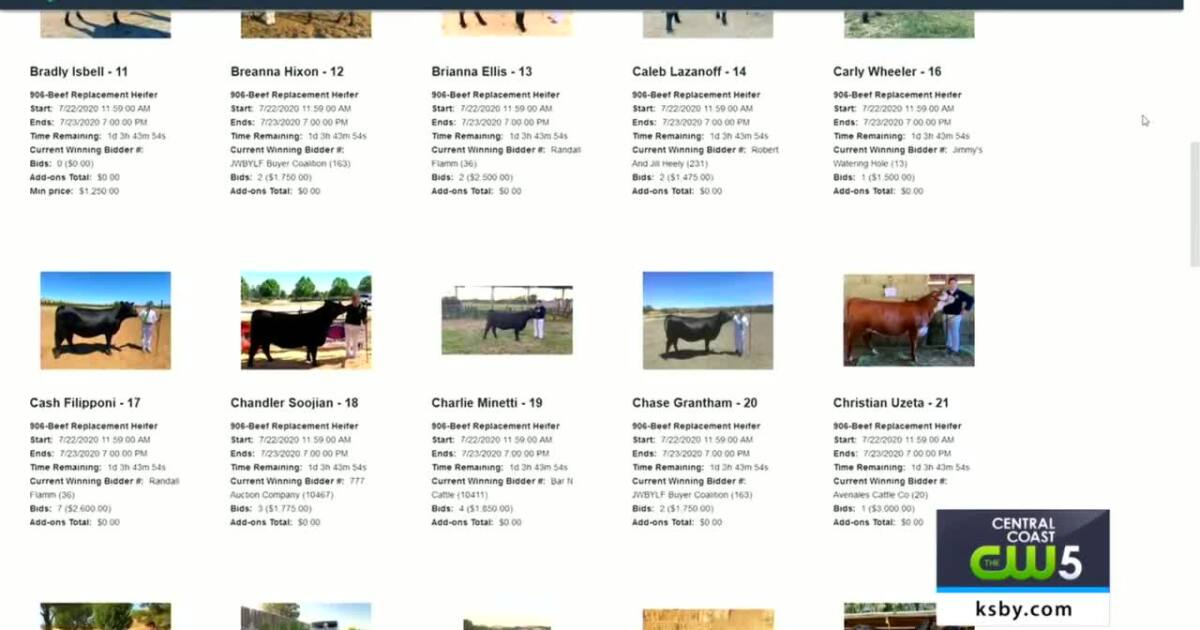 California Mid State Fair Livestock Auction Breaks add on Record california-mid-state-fair-livestock-auction-breaks-add-on-record