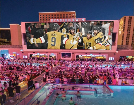 Stadium Swim Vegas Golden Knights 