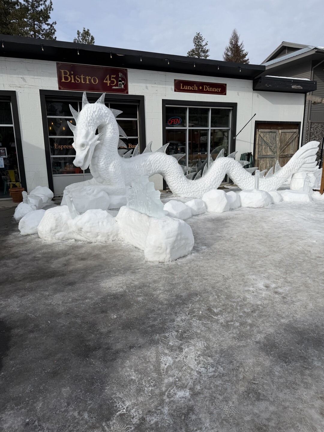 Winter carnival professional sculpture winner