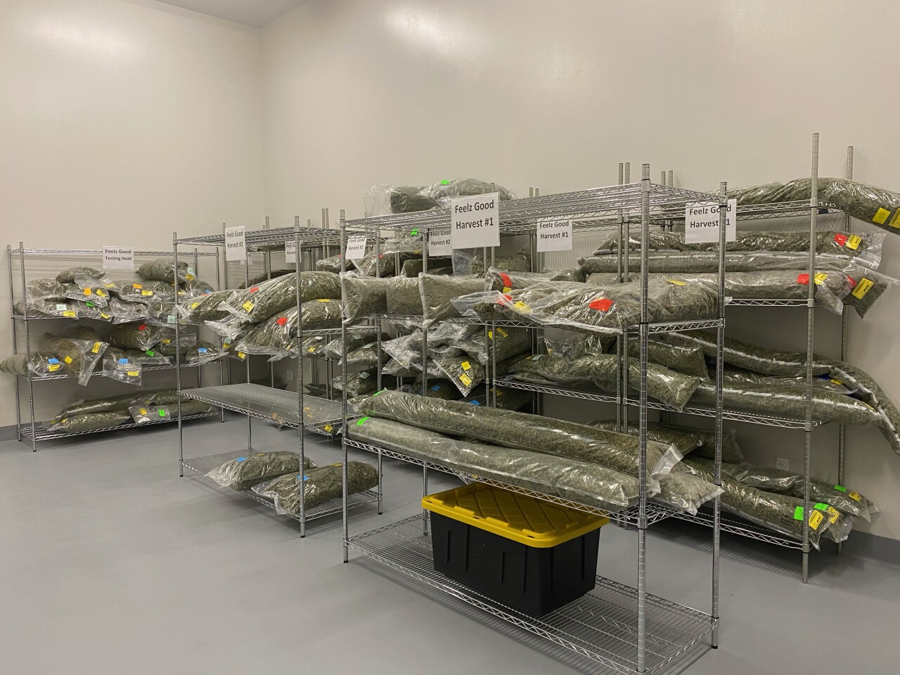 First shipment of marijuana .jpeg