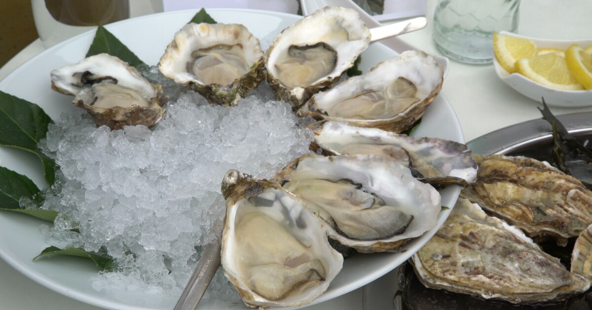 Utah County norovirus outbreak linked to oysters