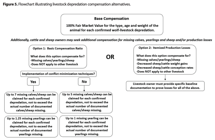 base compensation for livestock owners, animals killed by wolves_Colorado Parks and Wildlife
