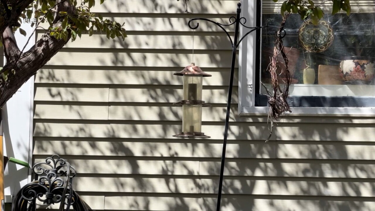 birdfeeder