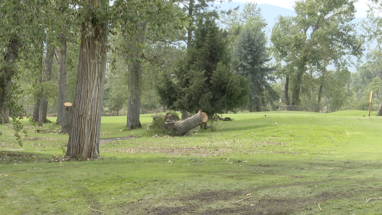 Downed trees at Linda Vista Golf Course, Missoula