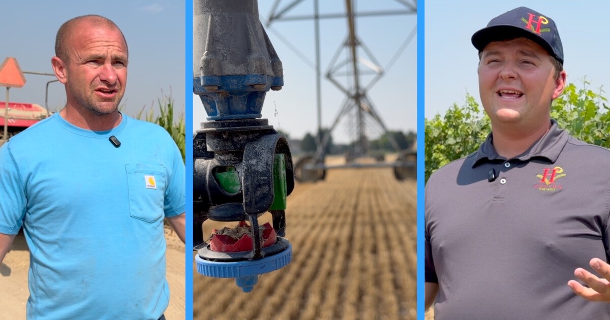 'It's a one, two punch'; smoke along with drought hits farmers hard