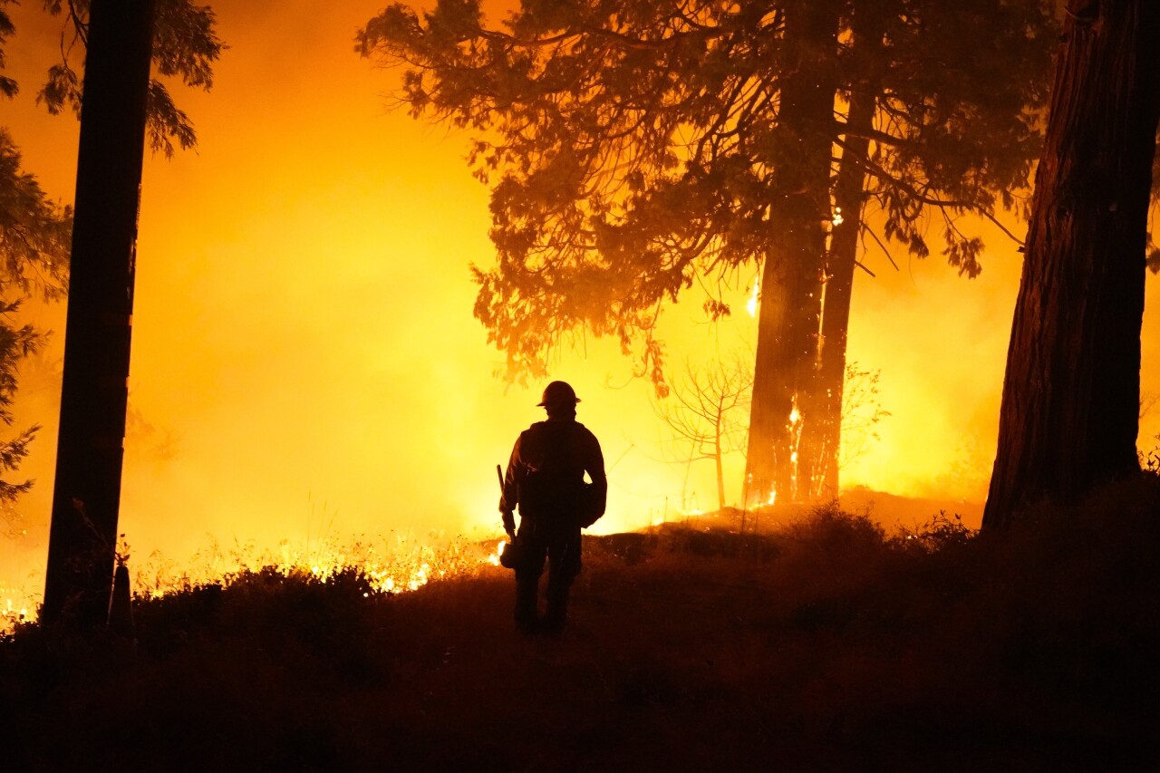 Forest Service closes all national forests in California amid 'historic' fire conditions