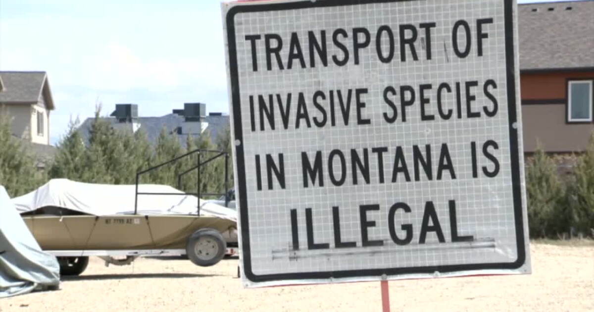 Invasive mussels found on boat after driver fails to stop at inspection station - Vimarsana News
