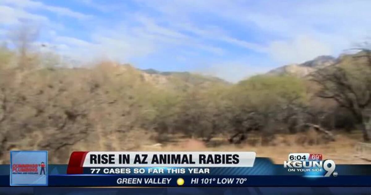 AZ Health officials warn about a rise in rabies
