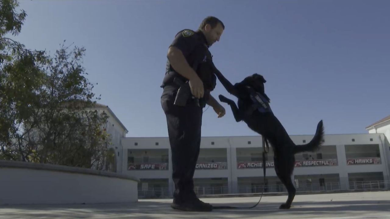 officer with Palm Beach County School District therapy dog Athena.png