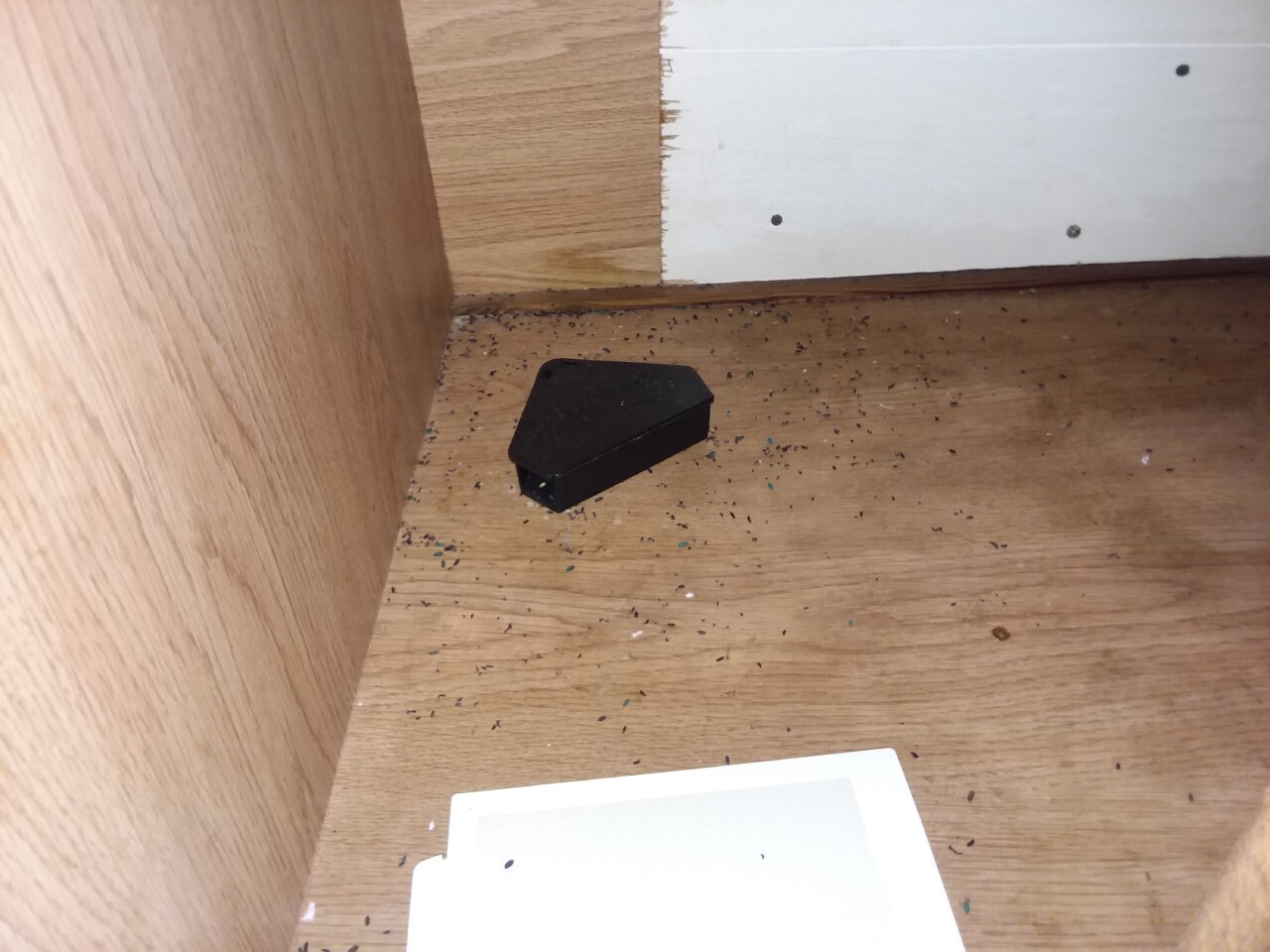 MouseDroppings.jpg