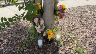 The Pinellas County Sheriff's Office said Jessica Antolini, 30, was shot by her boyfriend, Christopher "Dodge" Smith, in Safety Harbor, Florida.