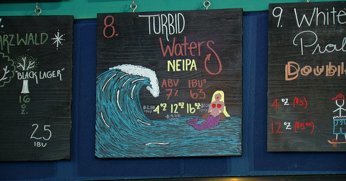 Tides for a Cause brings awareness to Hernando County Preserves