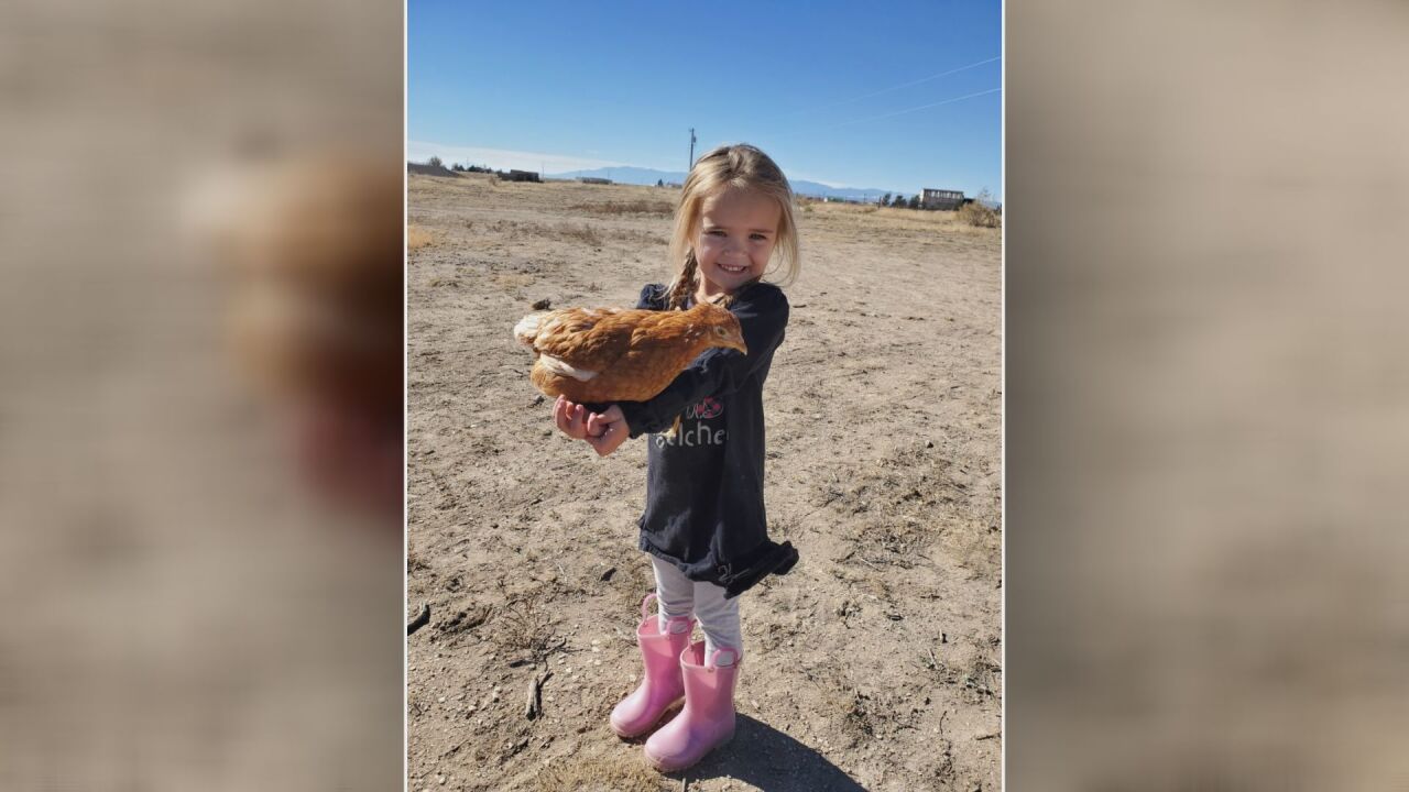 Jaelah Jerger and a chicken