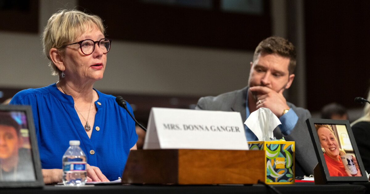 Coverage image for: Relatives of Renee Good call for accountability in congressional hearing