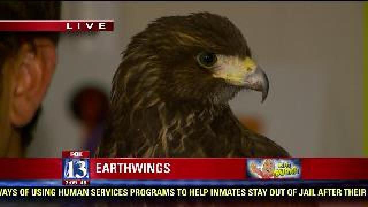 Big Budah learns about ornithology