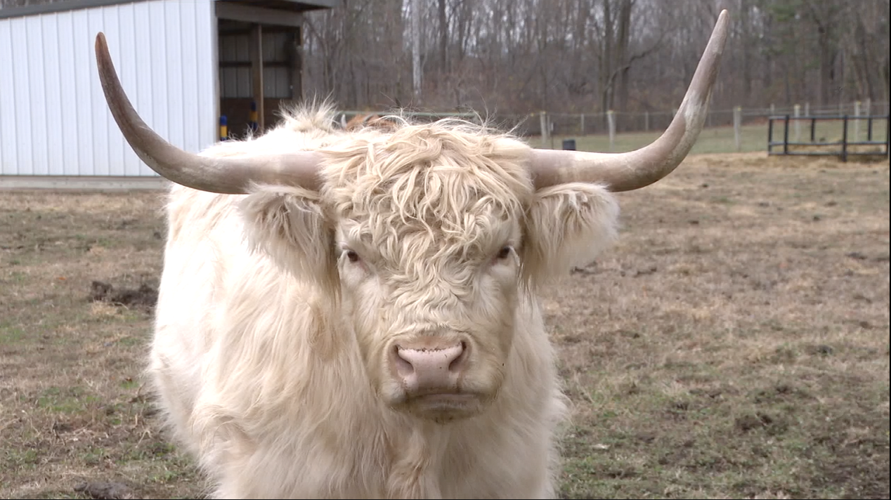 Screenshot 2025-11-26 at 5.39.13 PM.png