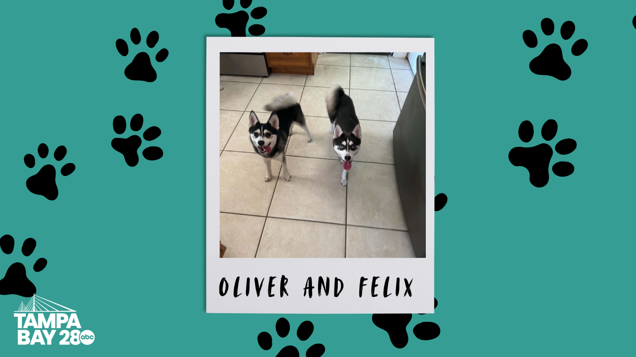 Oliver and Felix