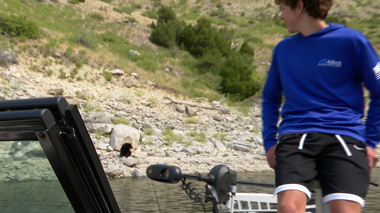 McKeever Dahlberg Black Bear