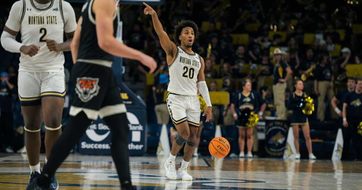 Montana State men bounce back, complete season sweep of Idaho State - Vimarsana News