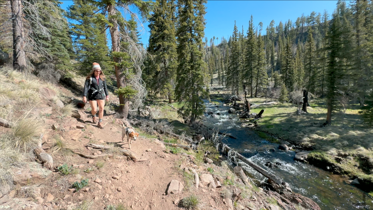 Walking along the trail.png
