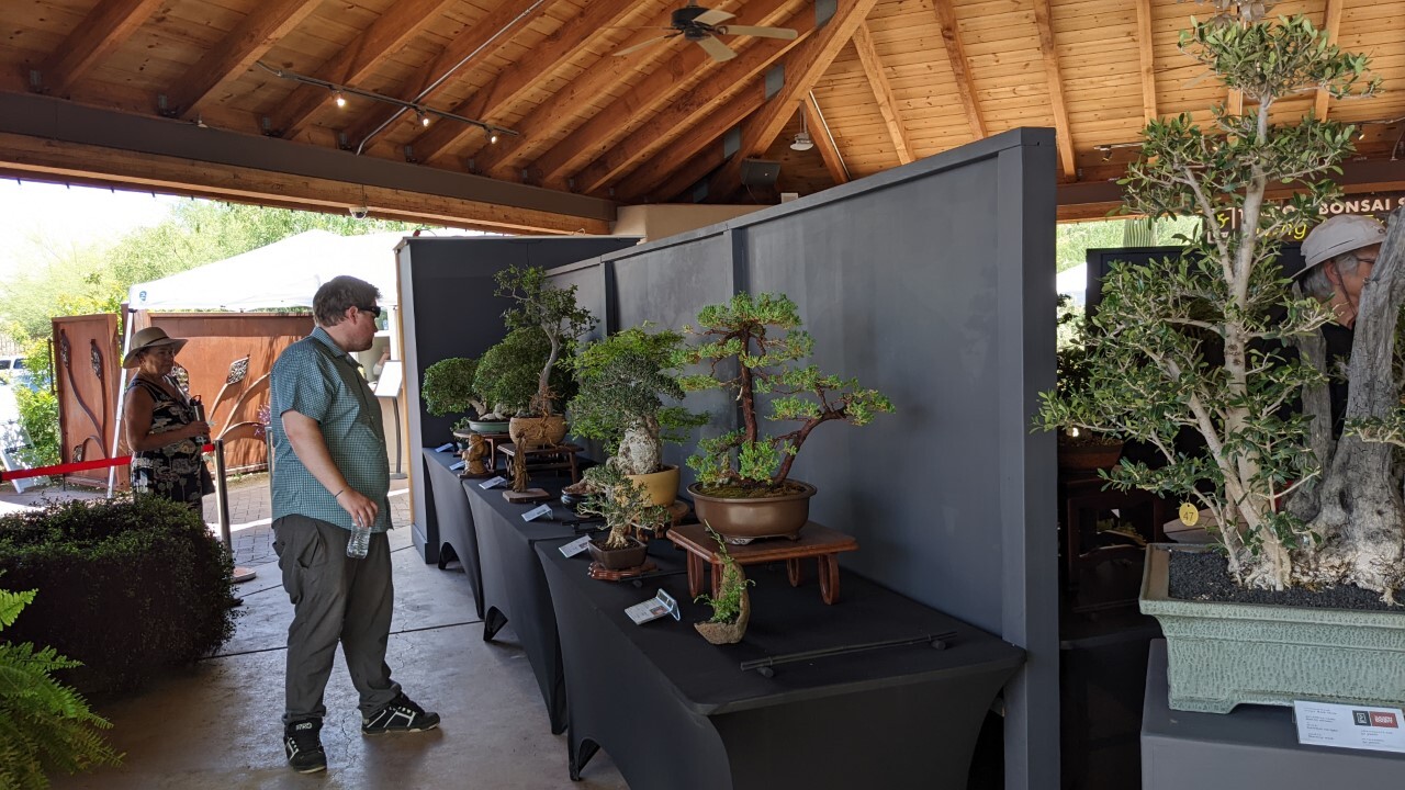 Tucson Botanical Garden 2