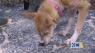 Purrfect Pet of the Week: 3/6