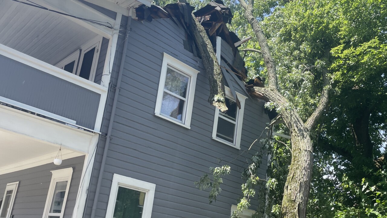 Big branch on Akron home