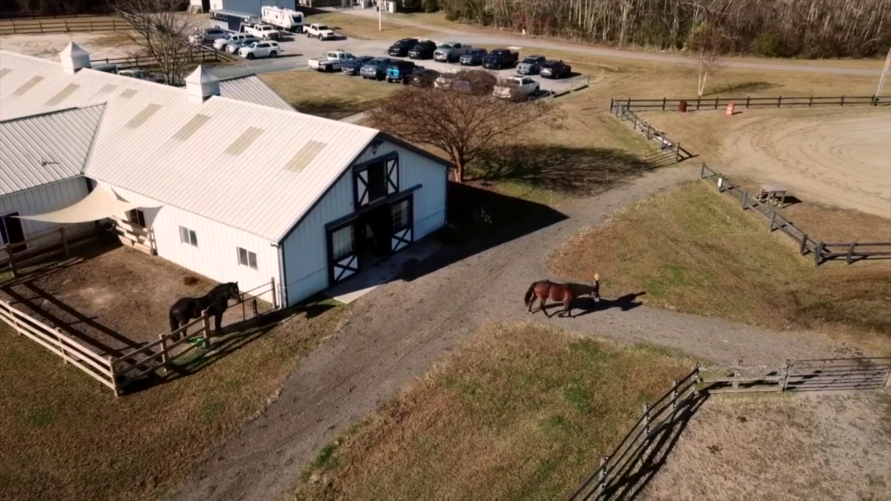 Virginia Beach Mounted Patrol