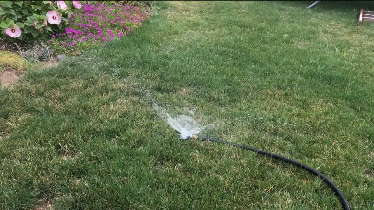 Keeping a healthy lawn and garden in the summer heat