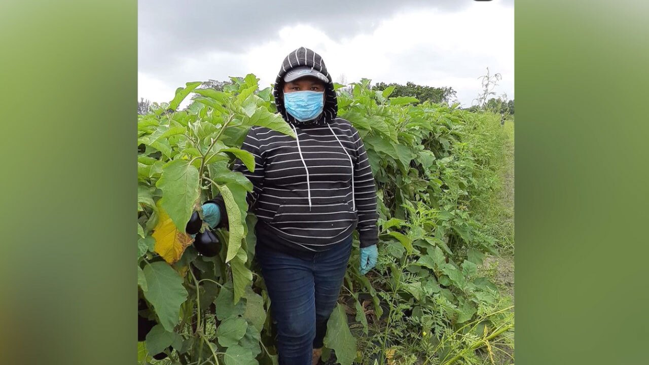 Maria Carolina, former vegetable picker turned face-covering designer