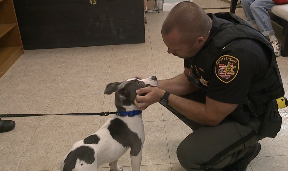 Trooper dog rescued in Medina Co.