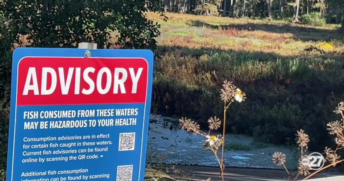 Over $300,000 going into FSU research tool to predict harmful algae in lakes - Vimarsana News