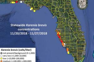 Red tide map 11-27-18.jpg