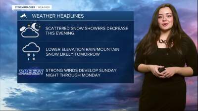 Poster image (11).jpg