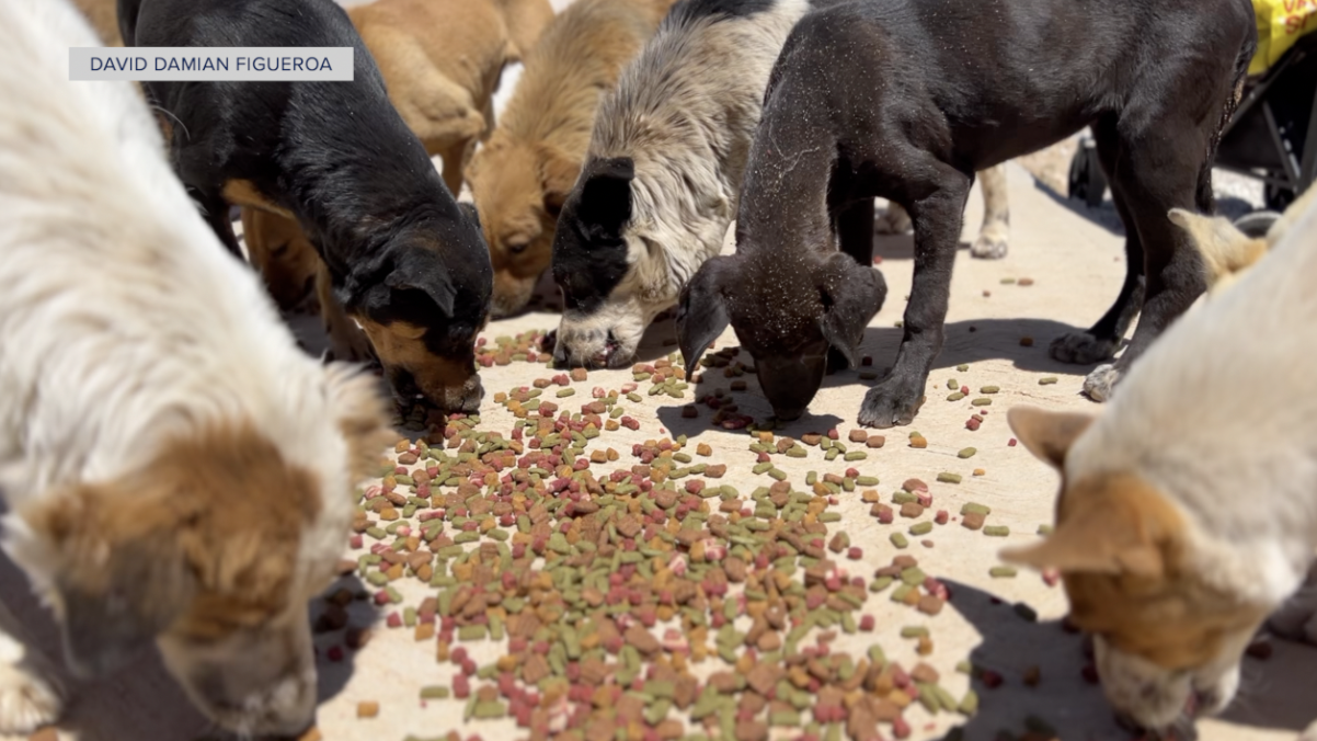 Screenshot 2025-10-01 at 3.42.59 PM.png