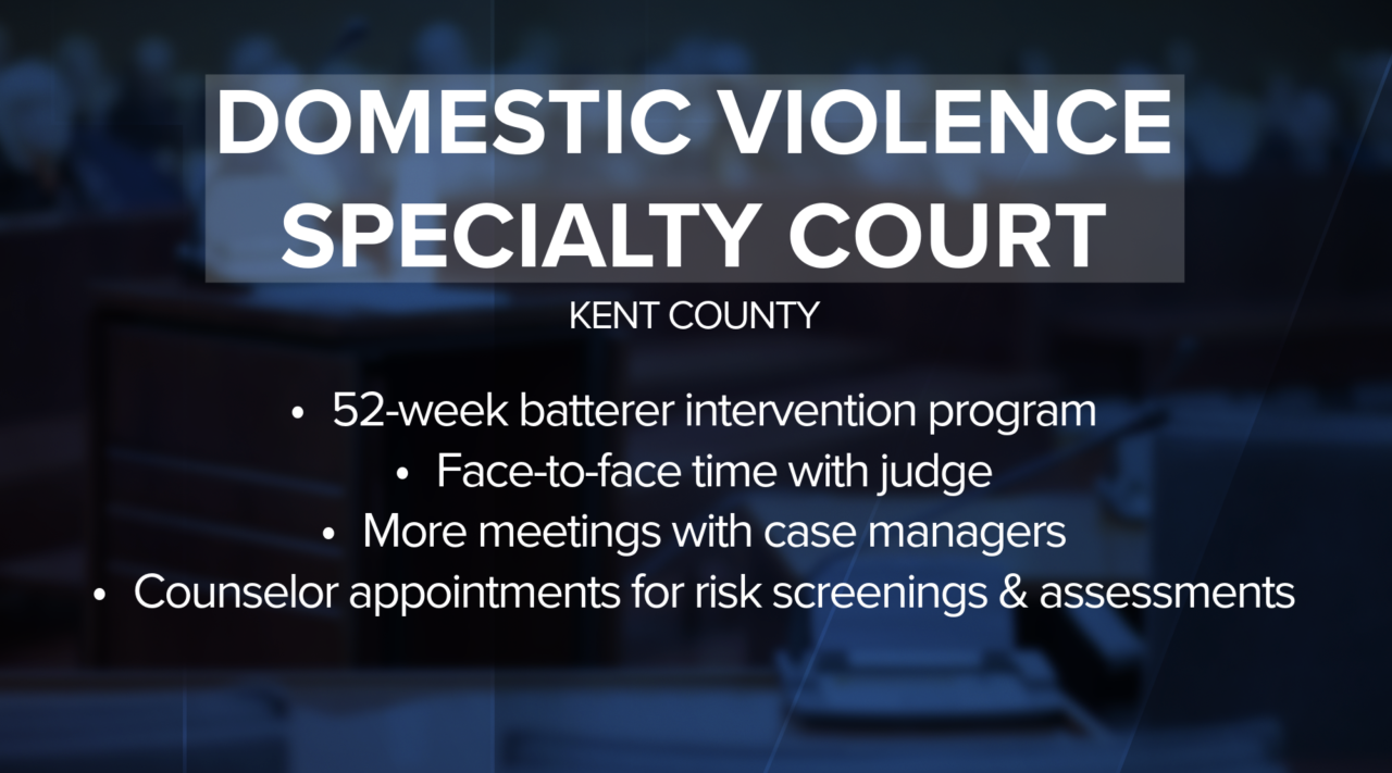 Domestic Violence Specialty Court