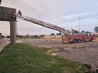 Newport News Fire Department help rescue injured cat on  I-664 overpass