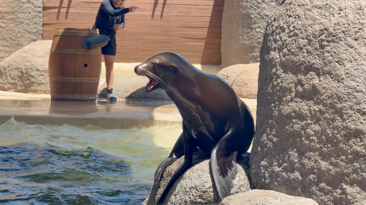 Wildlife World Zoo