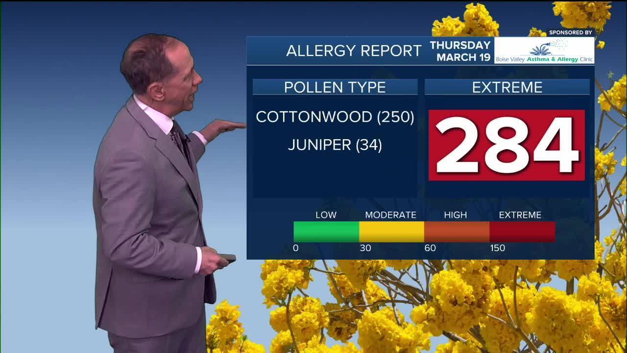 Allergy Report.jpg