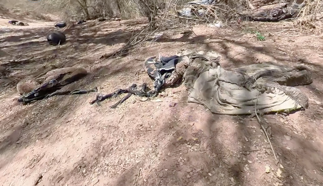 Discarded items left behind by illegal crossers