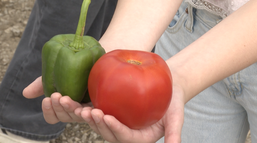 Farm to Future Event