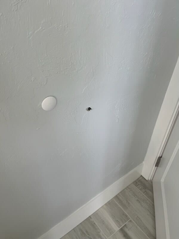 Roach Bullet Hole.jpeg