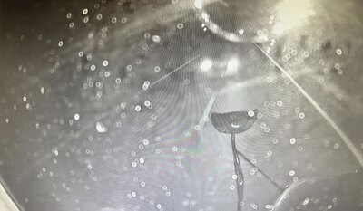 Footage from school bus camera 