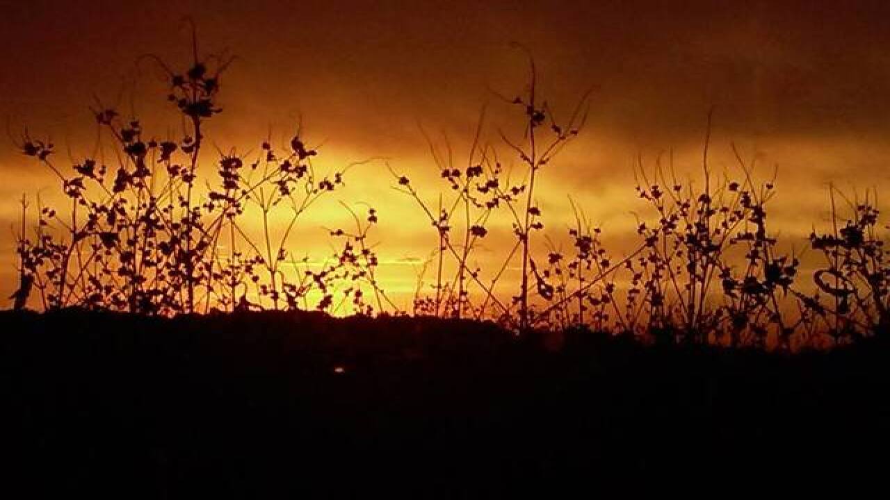 PHOTOS: Harvest time in Indiana