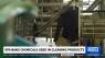 EPA bans two cancer-causing dry cleaning products