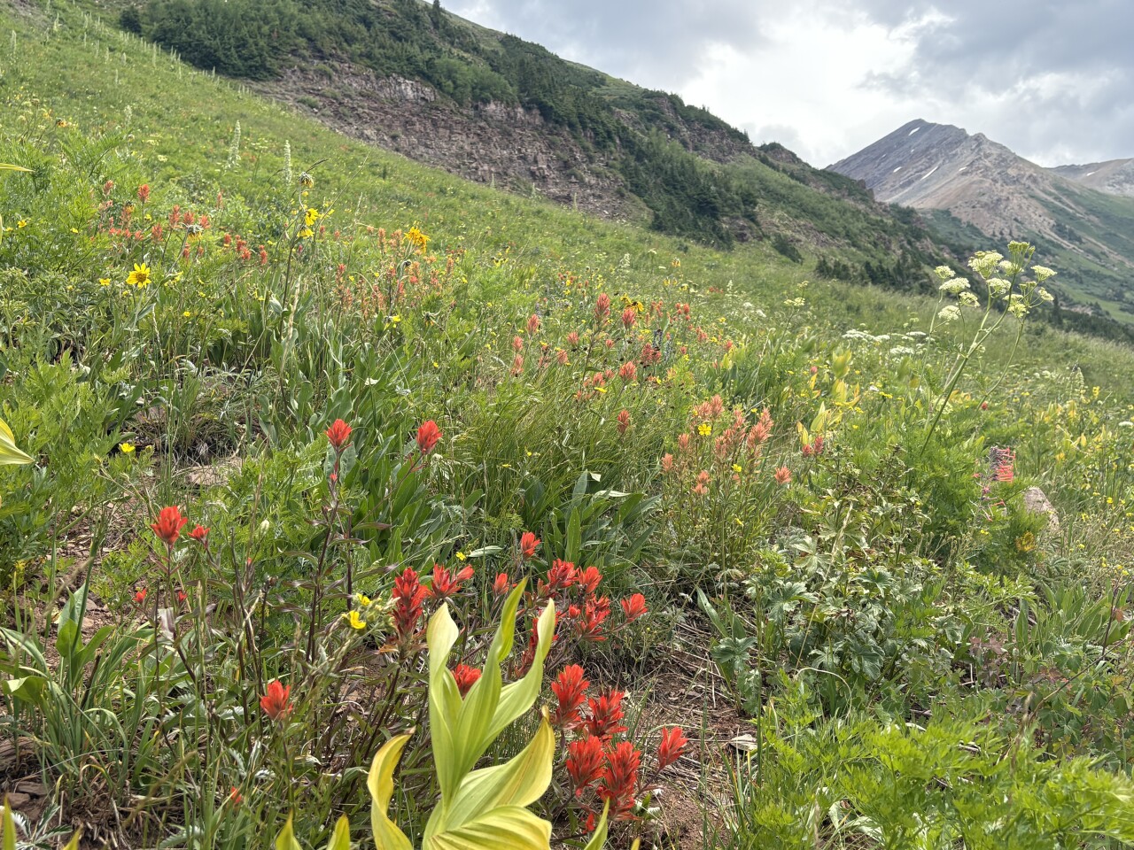 Rustler’s Gulch in Crested Butte