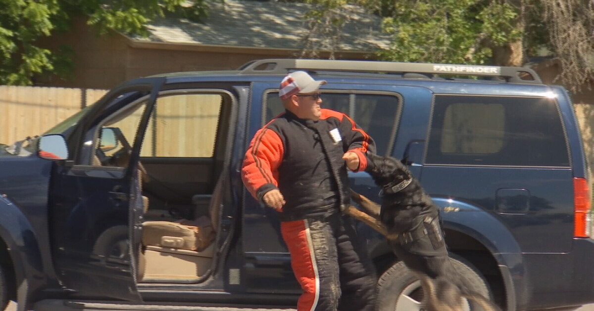 Law enforcement gathers in Laurel to train police dogs - Vimarsana News