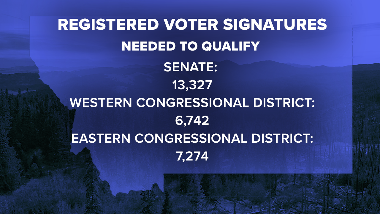 Independent Voter Signatures